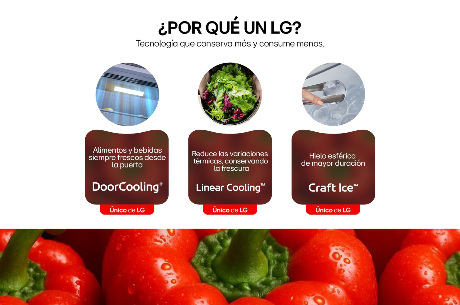 Funciones Nevecon Side By Side InstaView Door-In-Door LG GS66SXSC